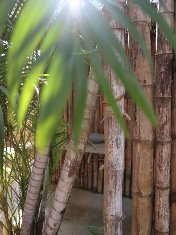 Steffi'S Mandala Hotel Hikkaduwa Ngoại thất bức ảnh